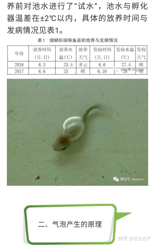 现代养殖业的双轮驱动 工厂化循环水水产养殖与畜牧业养殖的协同发展